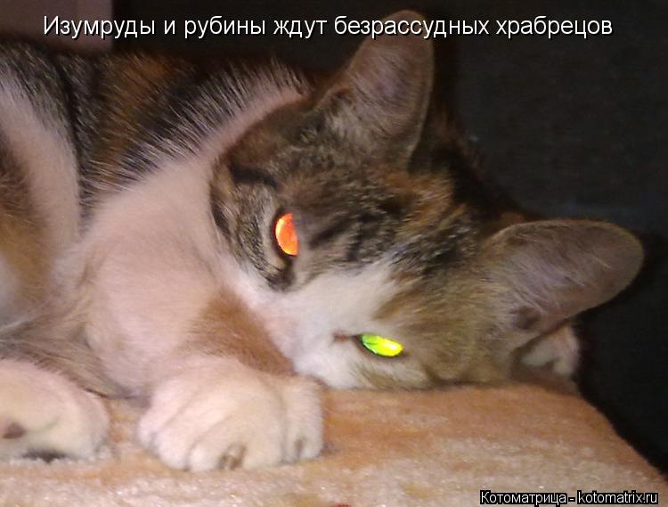 Изумруды и рубины ждут безрассудных храбрецов... Котоматрица: Изумруды и рубины ждут безрассудных храбрецов