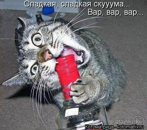 Сладкая, сладкая скууума... Вар, вар, вар...... Котоматрица: Сладкая, сладкая скууума... Вар, вар, вар...