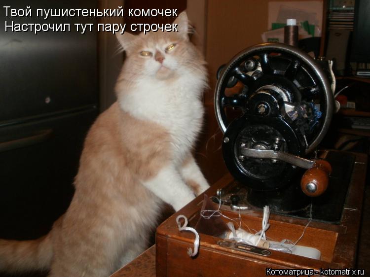 Твой пушистенький комочек Настрочил тут пару строчек... Котоматрица: Твой пушистенький комочек Настрочил тут пару строчек