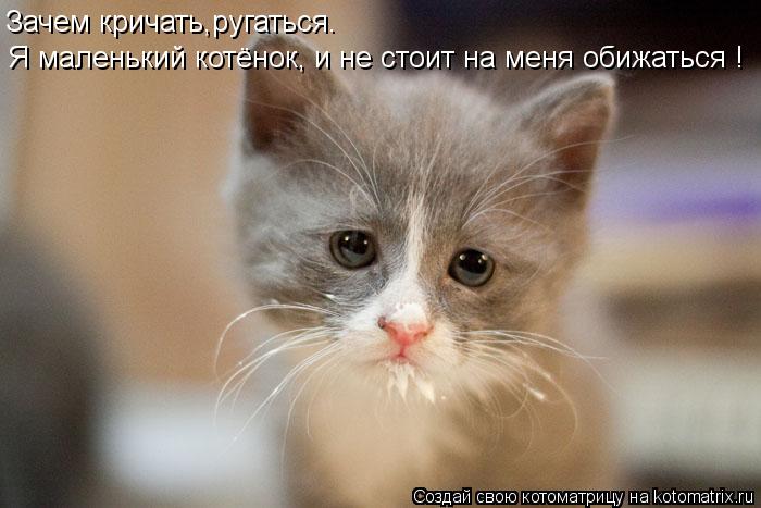 Зачем кричать,ругаться. Я маленький котёнок, и не стоит на меня обижаться !... Котоматрица: Зачем кричать,ругаться. Я маленький котёнок, и не стоит на меня обижаться !