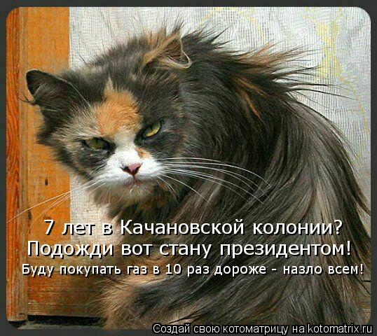 7 лет в Качановской колонии? Подожди вот стану президентом! Буду покупать газ в 10 раз дороже - назло... Котоматрица: 7 лет в Качановской колонии? Подожди вот стану президентом! Буду покупать газ в 10 раз дороже - назло всем!