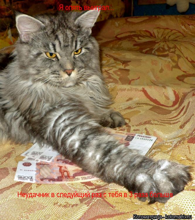Я опять выиграл с тебя 1.000 Я опять выиграл... Неудачник в следуйщий раз с тебя в 3 раза больше... Котоматрица: Я опять выиграл с тебя 1.000 Я опять выиграл... Неудачник в следуйщий раз с тебя в 3 раза больше