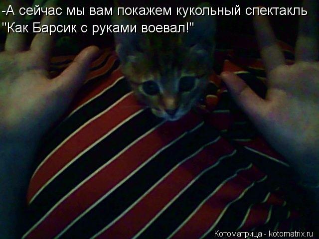 -А сейчас мы вам покажем кукольный спектакль "Как Барсик с руками воевал!"... Котоматрица: -А сейчас мы вам покажем кукольный спектакль "Как Барсик с руками воевал!"