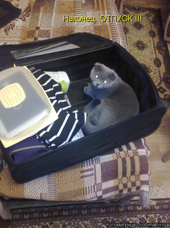 Наконец ОТПУСК !!!... Котоматрица: Наконец ОТПУСК !!!