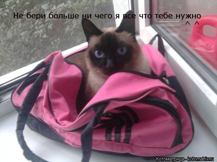 Не бери больше ни чего я все что тебе нужно Не бери больше ни чего я все что тебе нужно ^ ^... Котоматрица: Не бери больше ни чего я все что тебе нужно Не бери больше ни чего я все что тебе нужно ^ ^