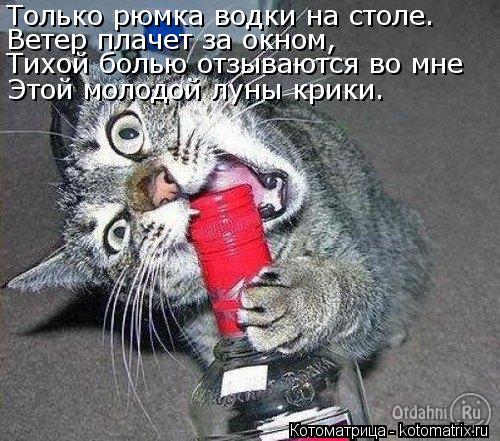 Тихой болью отзываются во мне Только рюмка водки на столе. Ветер плачет за окном, Этой молодой луны к... Котоматрица: Тихой болью отзываются во мне Только рюмка водки на столе. Ветер плачет за окном, Этой молодой луны крики.