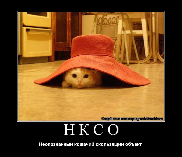 НКСО Неопознанный кошачий скользящий объект ... Котоматрица: НКСО Неопознанный кошачий скользящий объект