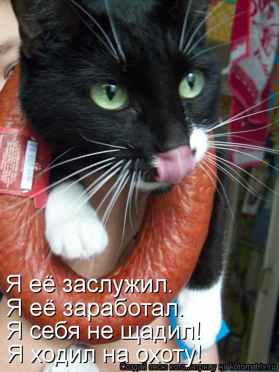 Я её заслужил. Я её заработал. Я себя не щадил! Я ходил на охоту!... Котоматрица: Я её заслужил. Я её заработал. Я себя не щадил! Я ходил на охоту!
