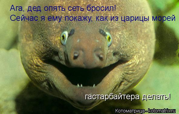 Ага, дед опять сеть бросил! Сейчас я ему покажу, как из царицы морей гастарбайтера делать!... Котоматрица: Ага, дед опять сеть бросил! Сейчас я ему покажу, как из царицы морей гастарбайтера делать!