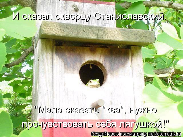 Котоматрица: И сказал скворцу Станиславский: "Мало сказать "ква", нужно  прочувствовать себя лягушкой!"