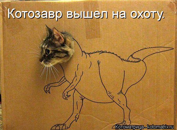 Котоматрица: Котозавр вышел на охоту.