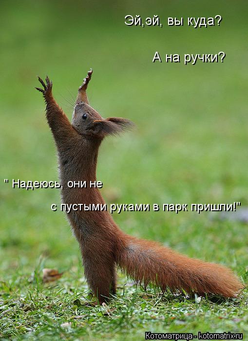 Эй,эй, вы куда? А на ручки? " Надеюсь, они не с пустыми руками в парк пришли!"... Котоматрица: Эй,эй, вы куда? А на ручки? " Надеюсь, они не с пустыми руками в парк пришли!"