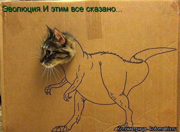 Котоматрица: Эволюция.И этим все сказано...