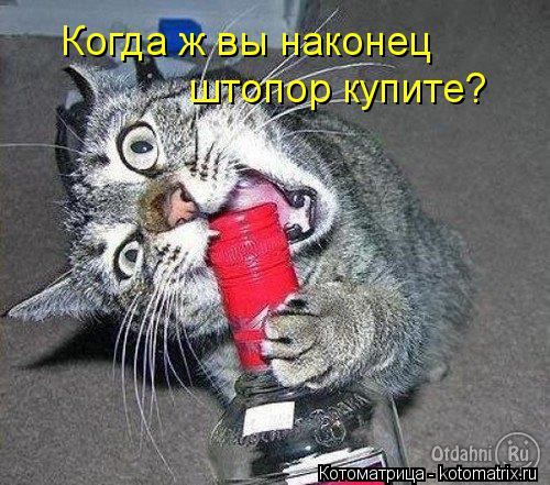 Когда ж вы наконец штопор купите?... Котоматрица: Когда ж вы наконец штопор купите?