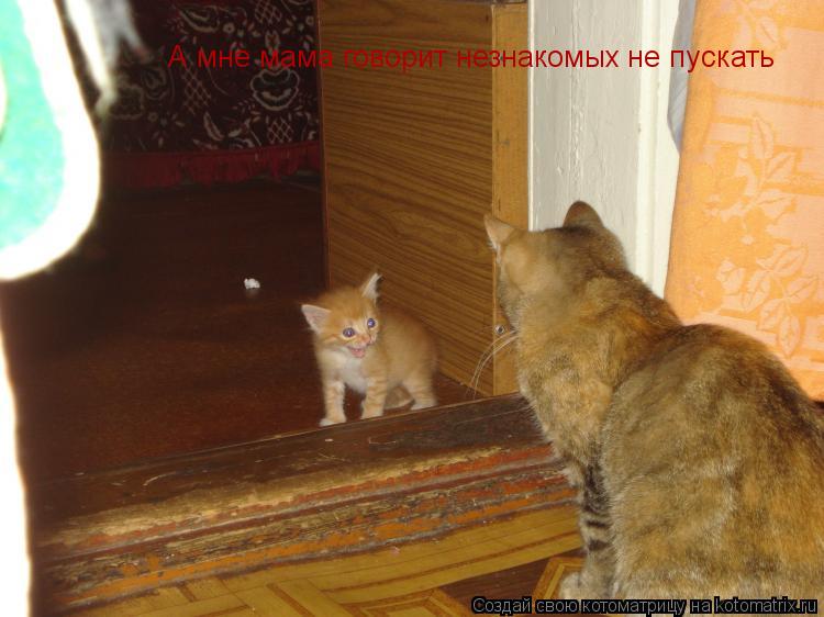 А мне мама говорит незнакомых не пускать... Котоматрица: А мне мама говорит незнакомых не пускать