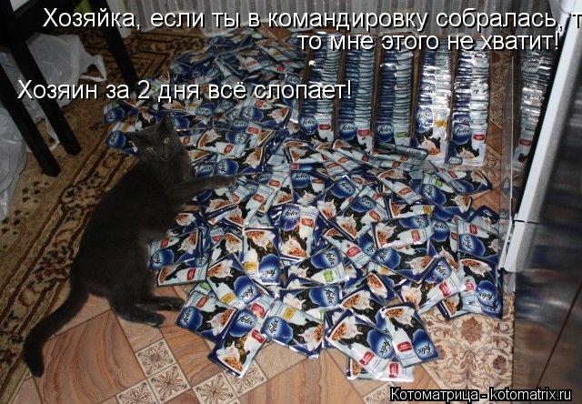 Хозяйка, если ты в командировку собралась, то мне этого не хватит! то мне этого не хватит! Хозяин за ... Котоматрица: Хозяйка, если ты в командировку собралась, то мне этого не хватит! то мне этого не хватит! Хозяин за 2 дня всё слопает!