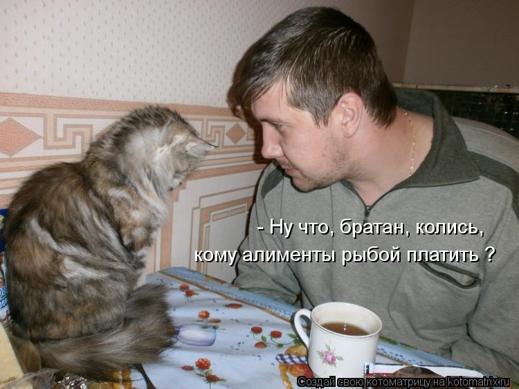 - Ну что, братан, колись, кому алименты рыбой платить ?... Котоматрица: - Ну что, братан, колись, кому алименты рыбой платить ?