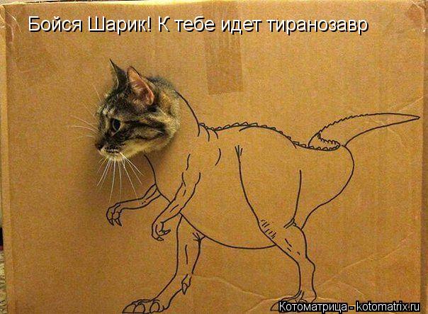 Бойся Шарик! К тебе идет тиранозавр... Котоматрица: Бойся Шарик! К тебе идет тиранозавр