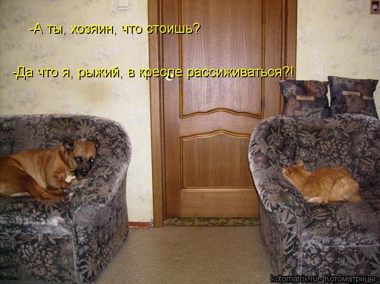-А ты, хозяин, что стоишь? -Да что я, рыжий, в кресле рассиживаться?!... Котоматрица: -А ты, хозяин, что стоишь? -Да что я, рыжий, в кресле рассиживаться?!