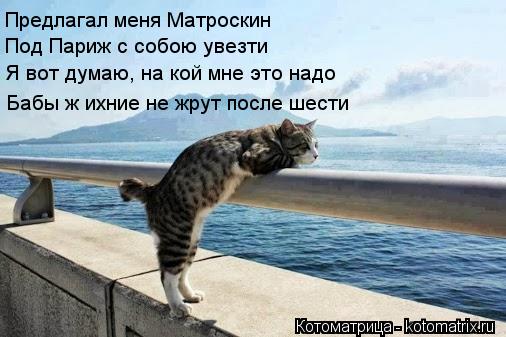 Предлагал меня Матроскин Под Париж с собою увезти Я вот думаю, на кой мне это надо Бабы ж ихние не ... Котоматрица: Предлагал меня Матроскин Под Париж с собою увезти Я вот думаю, на кой мне это надо Бабы ж ихние не жрут после шести