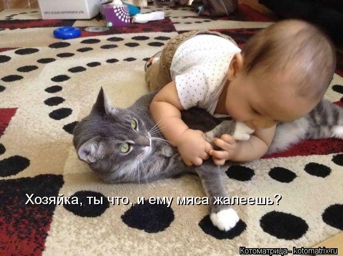Хозяйка, ты что, и ему мяса жалеешь?... Котоматрица: Хозяйка, ты что, и ему мяса жалеешь?