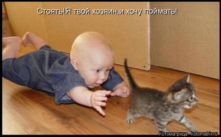 Стоять!Я твой хозяин,и хочу поймать!... Котоматрица: Стоять!Я твой хозяин,и хочу поймать!