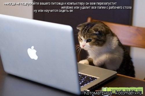 никогда не подпускайте вашего питомца к компьютеру он вам перезапустит windows или удалит все папки ... Котоматрица: никогда не подпускайте вашего питомца к компьютеру он вам перезапустит windows или удалит все папки с рабочего стола ну или научится сидеть в