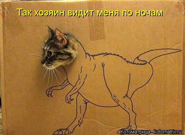 Так хозяин видит меня по ночам... Котоматрица: Так хозяин видит меня по ночам