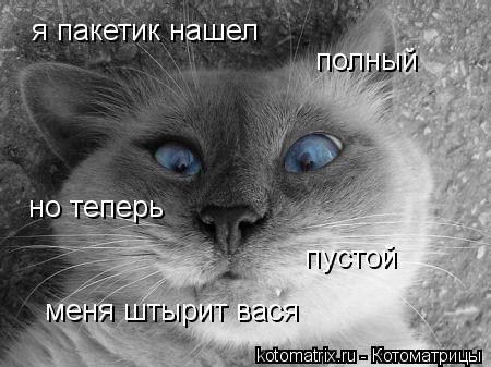 Котоматрица: я пакетик нашел  полный но теперь  пустой меня штырит вася