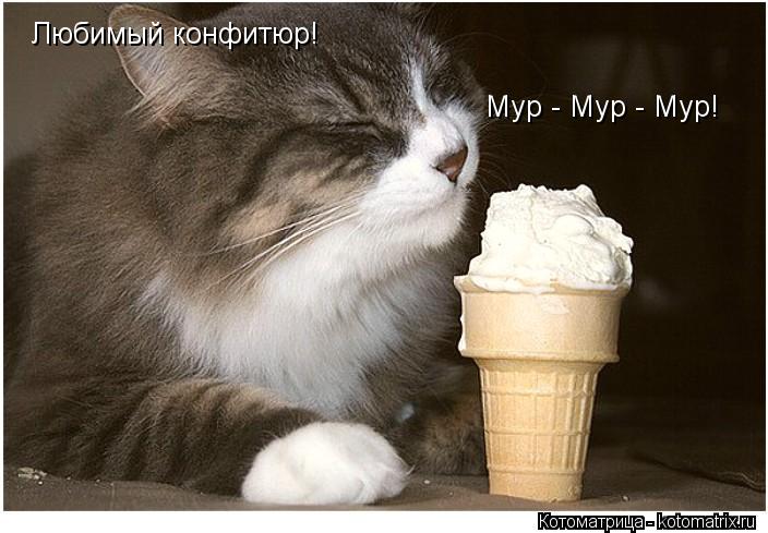 Любимый конфитюр! Мур - Мур - Мур!... Котоматрица: Любимый конфитюр! Мур - Мур - Мур!