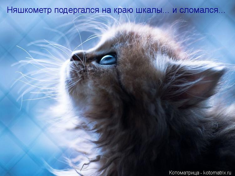Няшкометр подергался на краю шкалы... и сломался...... Котоматрица: Няшкометр подергался на краю шкалы... и сломался...