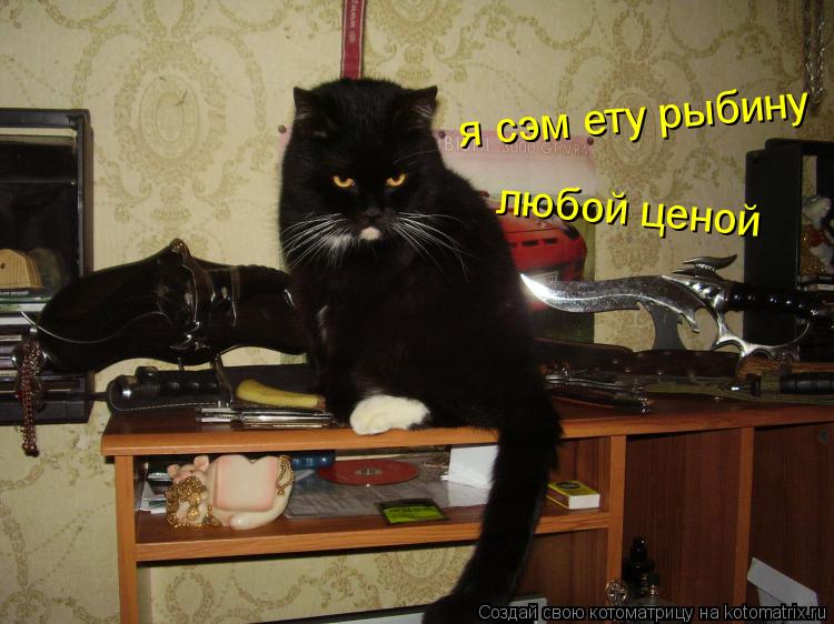 любой ценой я сэм ету рыбину... Котоматрица: любой ценой я сэм ету рыбину