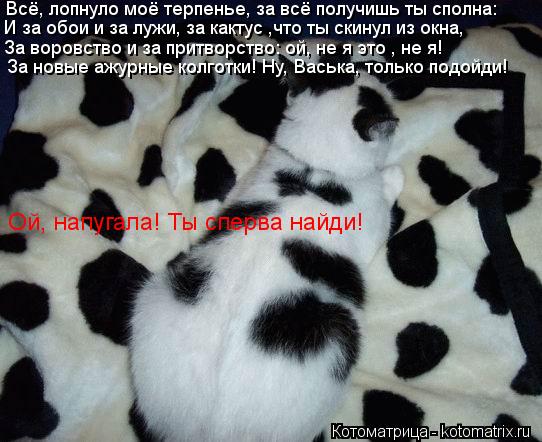 Всё, лопнуло моё терпенье, за всё получишь ты сполна: За воровство и за притворство: ой, не я это , н... Котоматрица: Всё, лопнуло моё терпенье, за всё получишь ты сполна: За воровство и за притворство: ой, не я это , не я! И за обои и за лужи, за кактус ,что ты ск