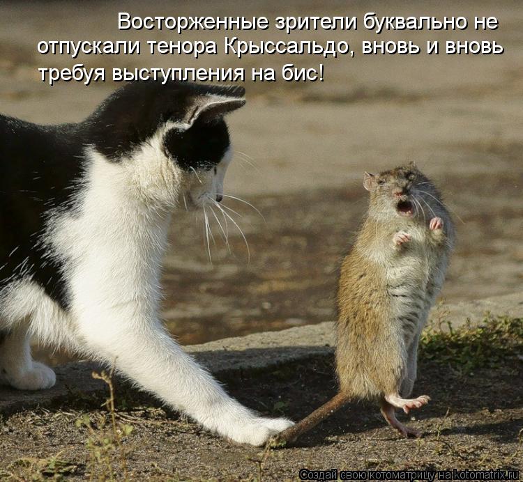 Восторженные зрители буквально не отпускали тенора Крыссальдо, вновь и вновь требуя выступления на ... Котоматрица: Восторженные зрители буквально не отпускали тенора Крыссальдо, вновь и вновь требуя выступления на бис!