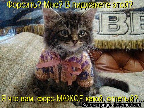 Я что вам, форс-МАЖОР какой, отпетый?... Форсить? Мне? В пиджакете этой?... Котоматрица: Я что вам, форс-МАЖОР какой, отпетый?... Форсить? Мне? В пиджакете этой?