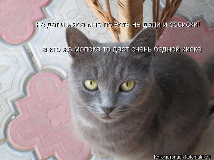 не дали мяса мне по есть не дали и сосиски! а кто же молока то даст очень бедной киске... Котоматрица: не дали мяса мне по есть не дали и сосиски! а кто же молока то даст очень бедной киске