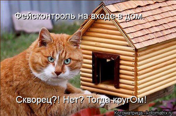 Фейсконтроль на входе в дом. Скворец?! Нет? Тогда кругОм!... Котоматрица: Фейсконтроль на входе в дом. Скворец?! Нет? Тогда кругОм!