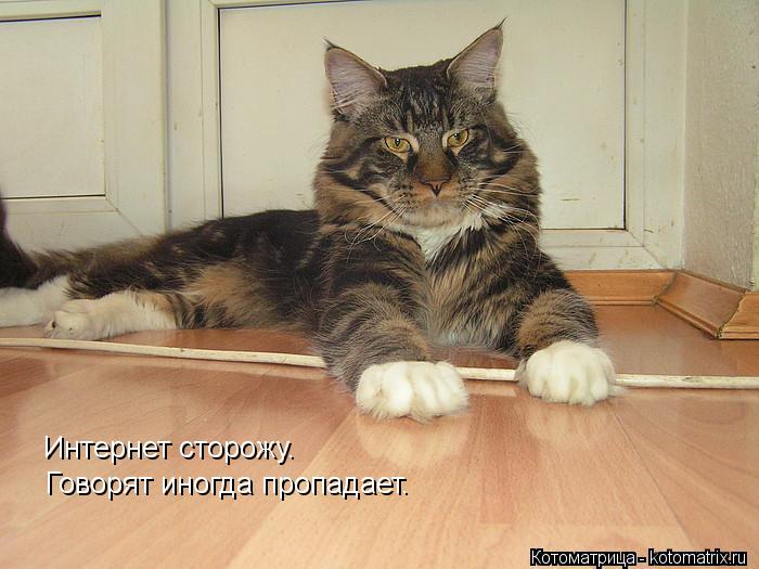 Интернет сторожу. Говорят иногда пропадает.... Котоматрица: Интернет сторожу. Говорят иногда пропадает.