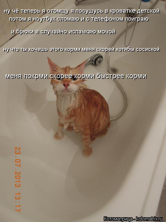 ну чё теперь я отомщу я посушусь в кроватке детской потом я ноутбук сломаю и с телефоном поиграю и бр... Котоматрица: ну чё теперь я отомщу я посушусь в кроватке детской потом я ноутбук сломаю и с телефоном поиграю и брюки я случайно испачкаю мочой ну что ты