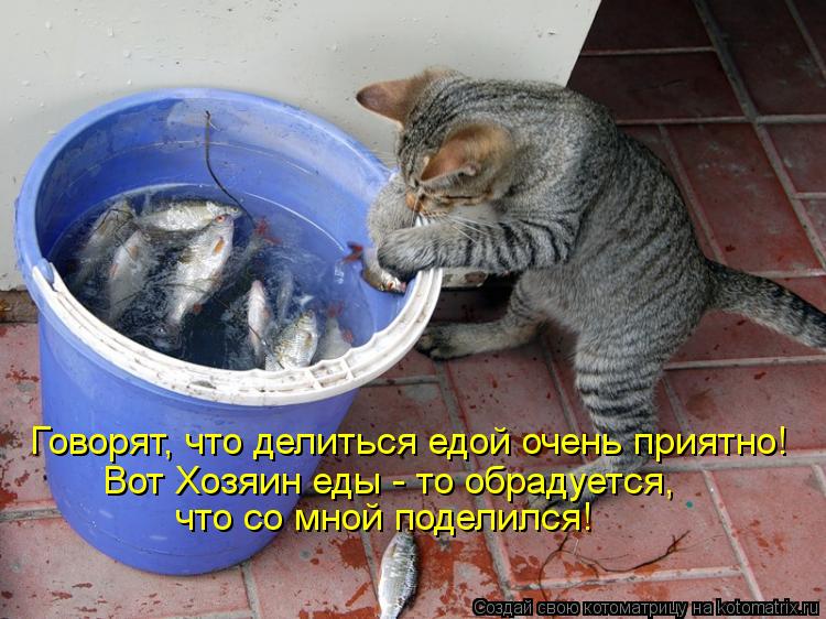 Говорят, что делиться едой очень приятно! Вот Хозяин еды - то обрадуется, что со мной поделился!... Котоматрица: Говорят, что делиться едой очень приятно! Вот Хозяин еды - то обрадуется, что со мной поделился!