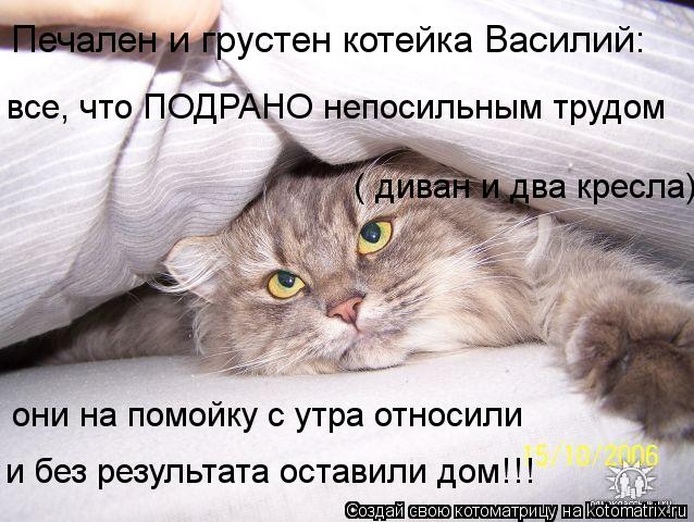 Печален и грустен котейка Василий: все, что ПОДРАНО непосильным трудом ( диван и два кресла), они на ... Котоматрица: Печален и грустен котейка Василий: все, что ПОДРАНО непосильным трудом ( диван и два кресла), они на помойку с утра относили и без результата