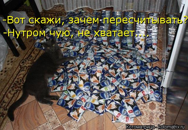 -Вот скажи, зачем пересчитывать? -Нутром чую, не хватает....... Котоматрица: -Вот скажи, зачем пересчитывать? -Нутром чую, не хватает....