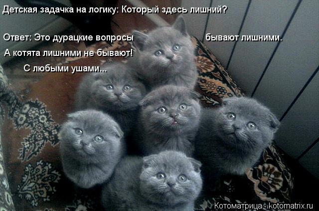 Детская задачка на логику: Который здесь лишний? С любыми ушами... А котята лишними не бывают! Ответ:... Котоматрица: Детская задачка на логику: Который здесь лишний? С любыми ушами... А котята лишними не бывают! Ответ: Это дурацкие вопросы бывают лишними.
