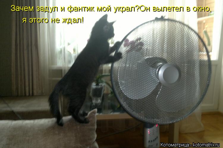 Зачем задул и фантик мой украл?Он вылетел в окно, я этого не ждал!... Котоматрица: Зачем задул и фантик мой украл?Он вылетел в окно, я этого не ждал!