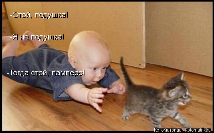 -Стой, подушка! -Я не подушка! -Тогда стой, памперс!... Котоматрица: -Стой, подушка! -Я не подушка! -Тогда стой, памперс!