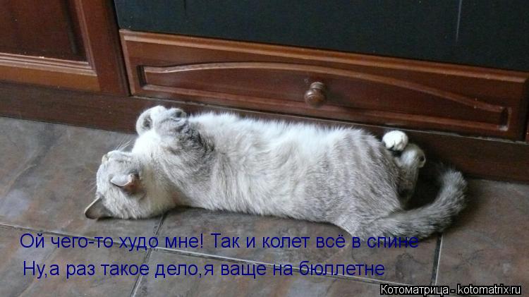 Ой чего-то худо мне! Так и колет всё в спине Ну,а раз такое дело,я ваще на бюллетне... Котоматрица: Ой чего-то худо мне! Так и колет всё в спине Ну,а раз такое дело,я ваще на бюллетне
