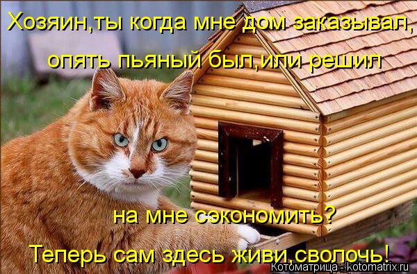 Хозяин,ты когда мне дом заказывал, опять пьяный был,или решил на мне сэкономить? Теперь сам здесь жив... Котоматрица: Хозяин,ты когда мне дом заказывал, опять пьяный был,или решил на мне сэкономить? Теперь сам здесь живи,сволочь!