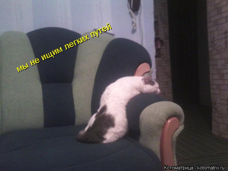 мы не ищим легких путей... Котоматрица: мы не ищим легких путей