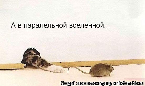 А в паралельной вселенной... А в паралельной вселенной...... Котоматрица: А в паралельной вселенной... А в паралельной вселенной...