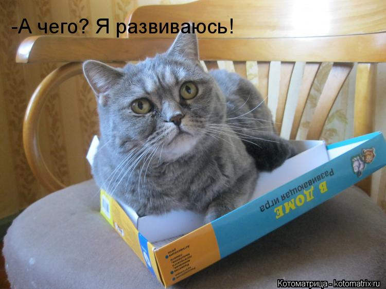 -А чего? Я развиваюсь!... Котоматрица: -А чего? Я развиваюсь!